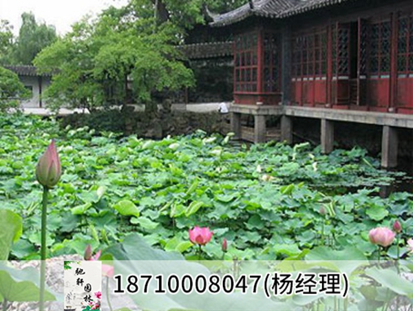 黑龙省鹤岗市天水湖改造工程