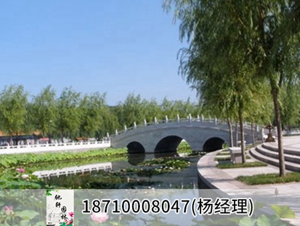 青海省西宁市盐湖芦苇种植工程