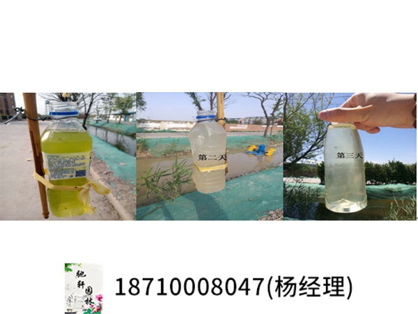 天津大港尚海湾黑臭水治理治理后水质对比